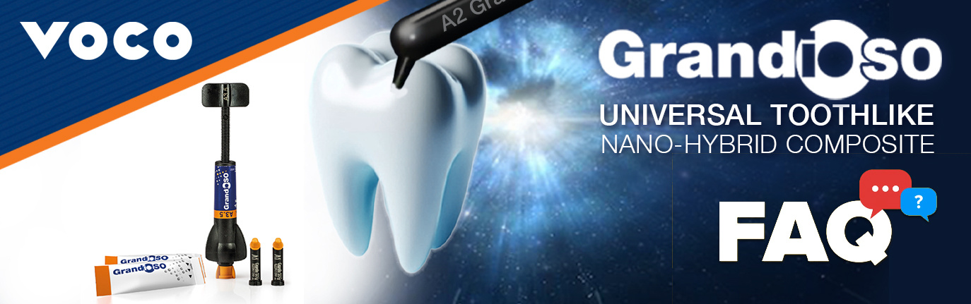 GSO Survey Banner GSO Survey Banner